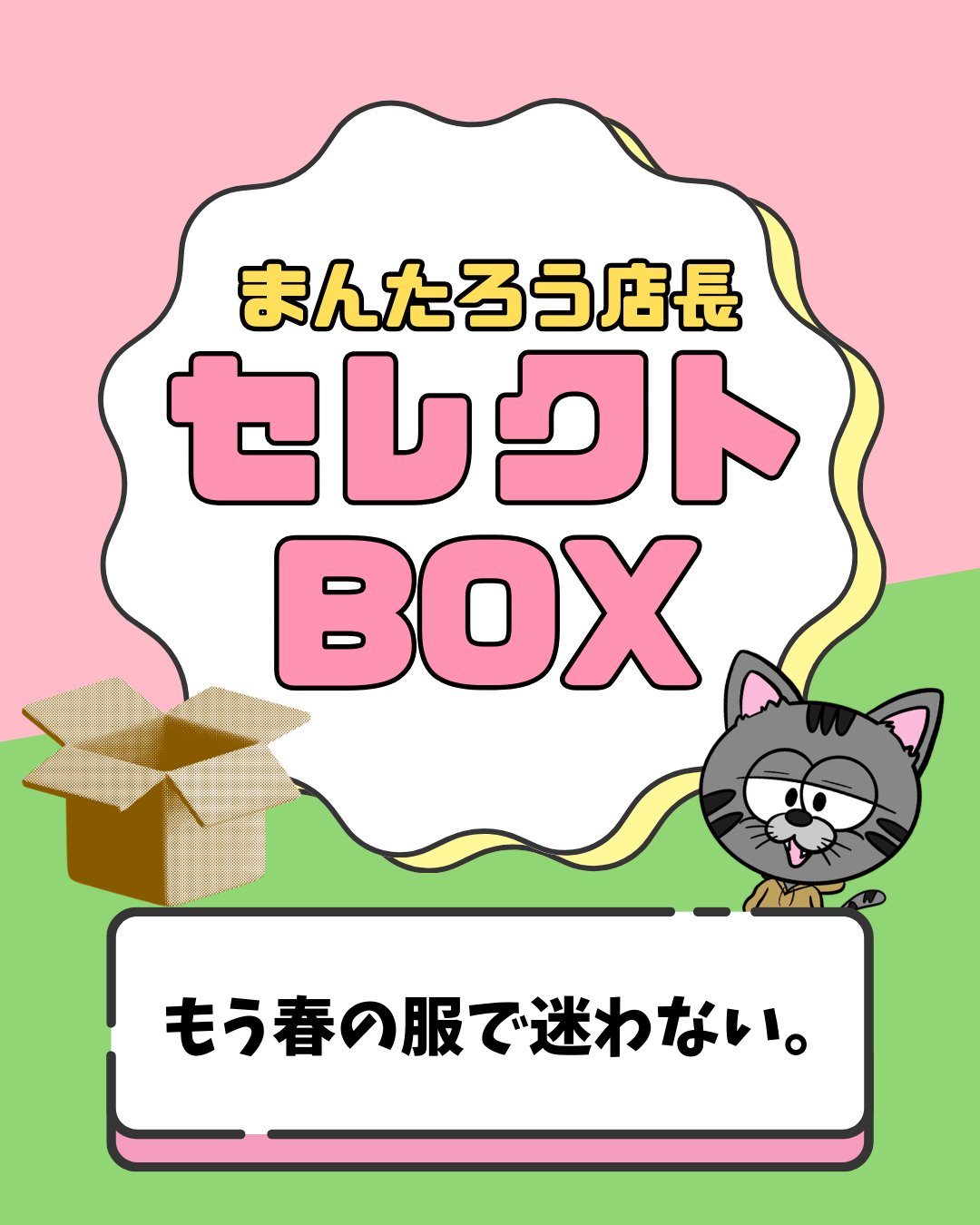 まんたろう店長セレクトBOX 春ver.