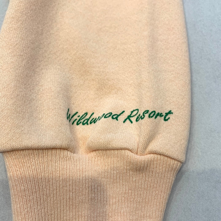 ヘインズ Hanes スウェット ビッグプリント ピンク メンズXL