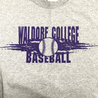 ヘインズ 古着 Tシャツ カレッジ系 ベースボール M