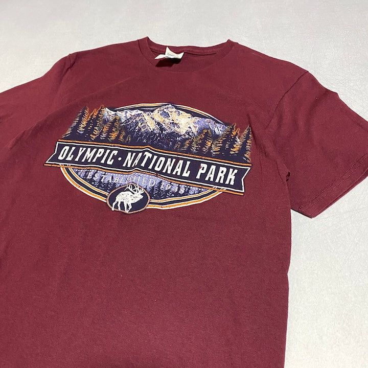 ノーブランド 古着 Tシャツ オリンピック ワシントン州 M
