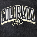 ノーブランド 古着 Tシャツ コロラド バッファローズ ダークグレー L