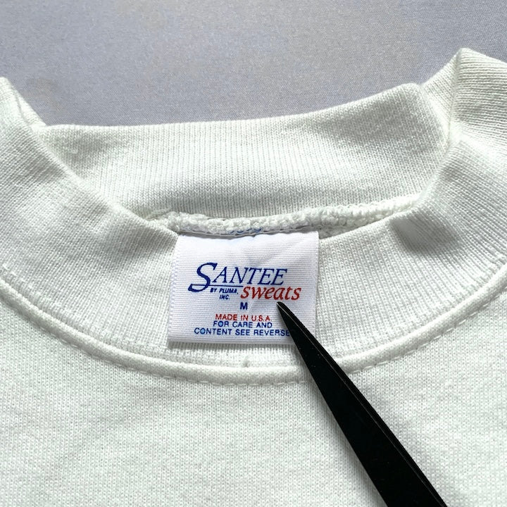 ノーブランド 古着 スウェット りんご USA製 レディースM