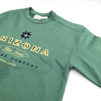 アリゾナ ARIZONA スウェット グリーン トレーナー 刺繍 メンズM