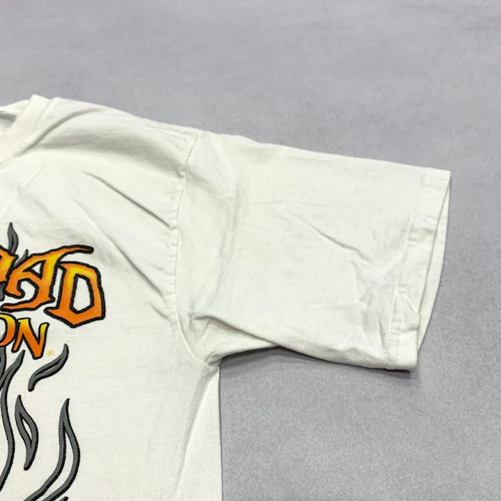 ハーレーダビッドソン Harley-Davidson Tシャツ テキサス horny toad メンズL