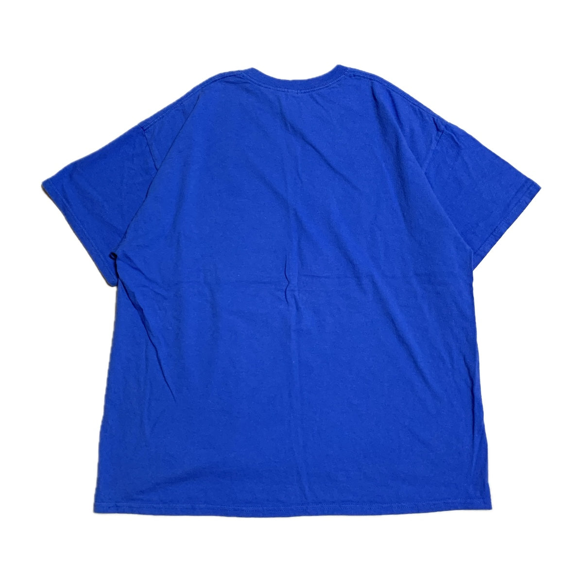 ギルダン GILDAN Tシャツ ブルー イラスト メンズXL