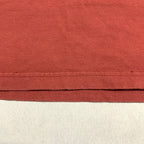 パタゴニア Patagonia Tシャツ メキシコ製 ピンク バックプリント メンズL