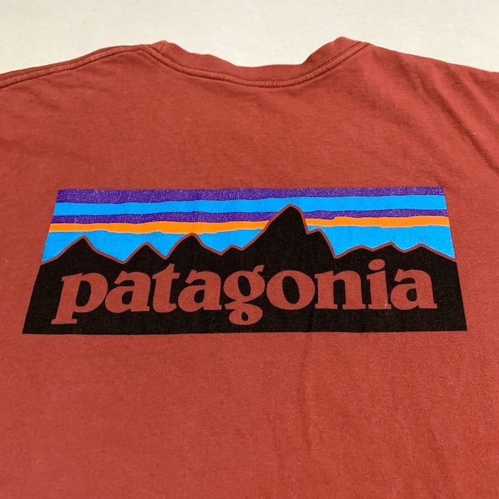 パタゴニア Patagonia Tシャツ メキシコ製 ピンク バックプリント メンズL