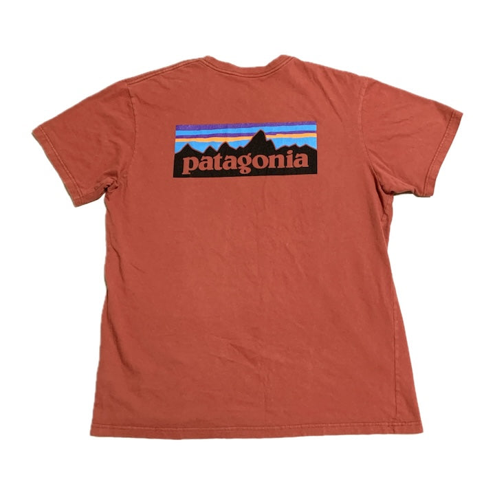 パタゴニア Patagonia Tシャツ メキシコ製 ピンク バックプリント メンズL