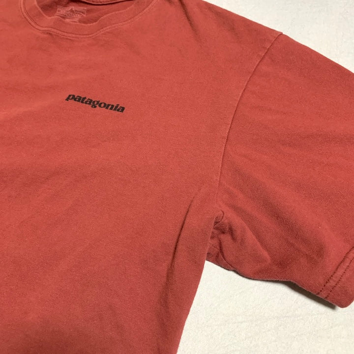 パタゴニア Patagonia Tシャツ メキシコ製 ピンク バックプリント メンズL
