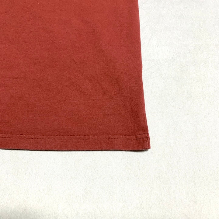 パタゴニア Patagonia Tシャツ メキシコ製 ピンク バックプリント メンズL