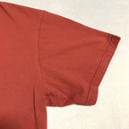 パタゴニア Patagonia Tシャツ メキシコ製 ピンク バックプリント メンズL