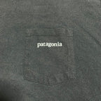 パタゴニア Patagonia Tシャツ メキシコ製 ブラック バックプリント メンズM