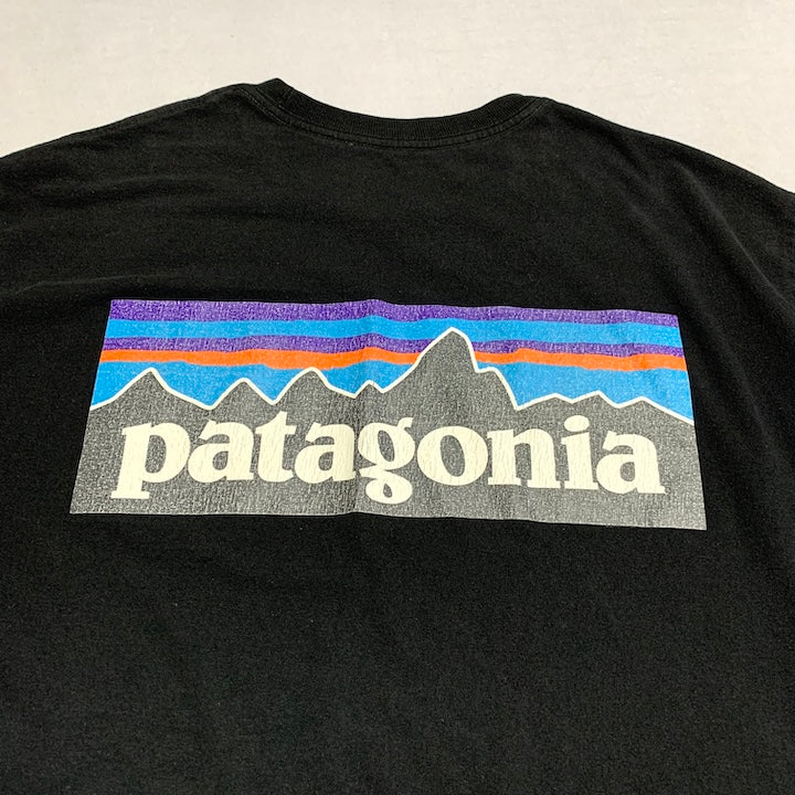 パタゴニア Patagonia Tシャツ メキシコ製 ブラック バックプリント メンズM