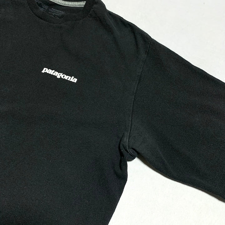 パタゴニア Patagonia Tシャツ メキシコ製 ブラック バックプリント メンズM