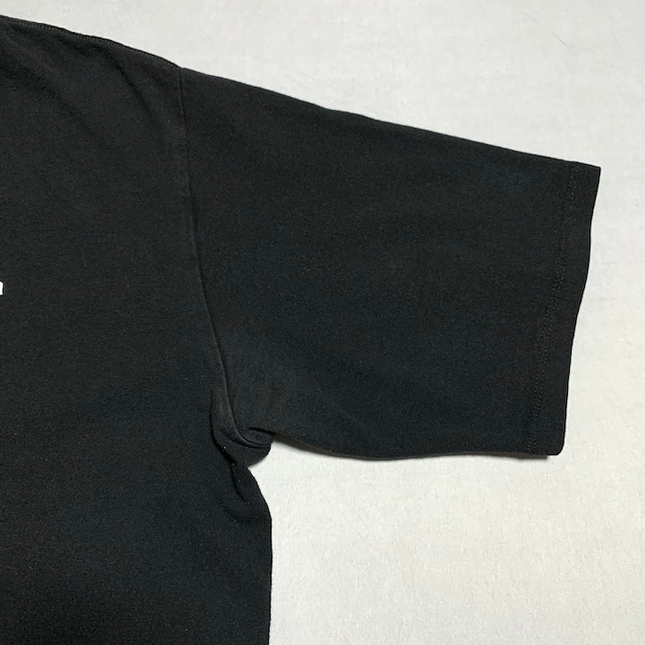 パタゴニア Patagonia Tシャツ メキシコ製 ブラック バックプリント メンズM