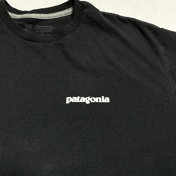 パタゴニア Patagonia Tシャツ メキシコ製 ブラック バックプリント メンズM