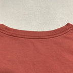 パタゴニア Patagonia Tシャツ メキシコ製 ピンク バックプリント メンズXL