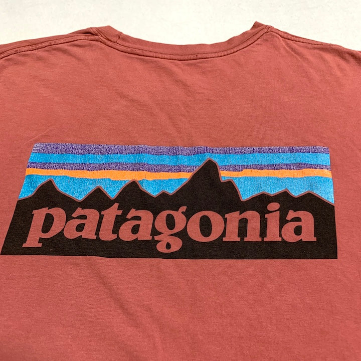 パタゴニア Patagonia Tシャツ メキシコ製 ピンク バックプリント メンズXL
