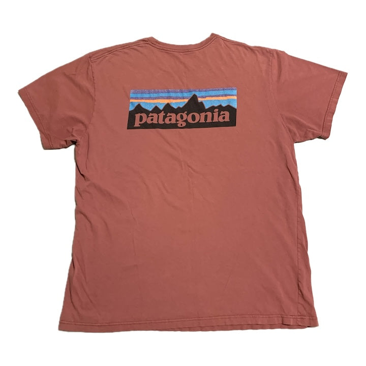 パタゴニア Patagonia Tシャツ メキシコ製 ピンク バックプリント メンズXL