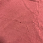 パタゴニア Patagonia Tシャツ メキシコ製 ピンク バックプリント メンズXL
