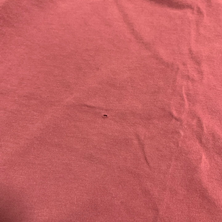 パタゴニア Patagonia Tシャツ メキシコ製 ピンク バックプリント メンズXL
