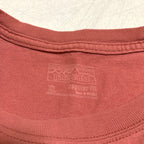 パタゴニア Patagonia Tシャツ メキシコ製 ピンク バックプリント メンズXL