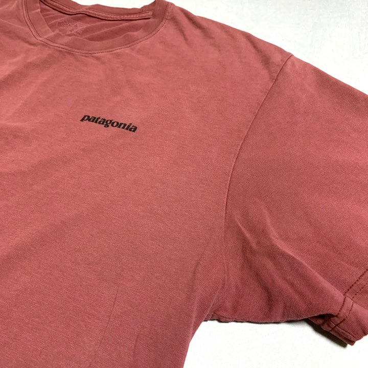 パタゴニア Patagonia Tシャツ メキシコ製 ピンク バックプリント メンズXL
