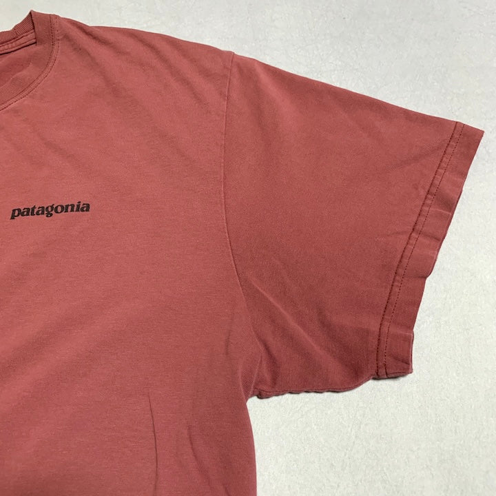 パタゴニア Patagonia Tシャツ メキシコ製 ピンク バックプリント メンズXL