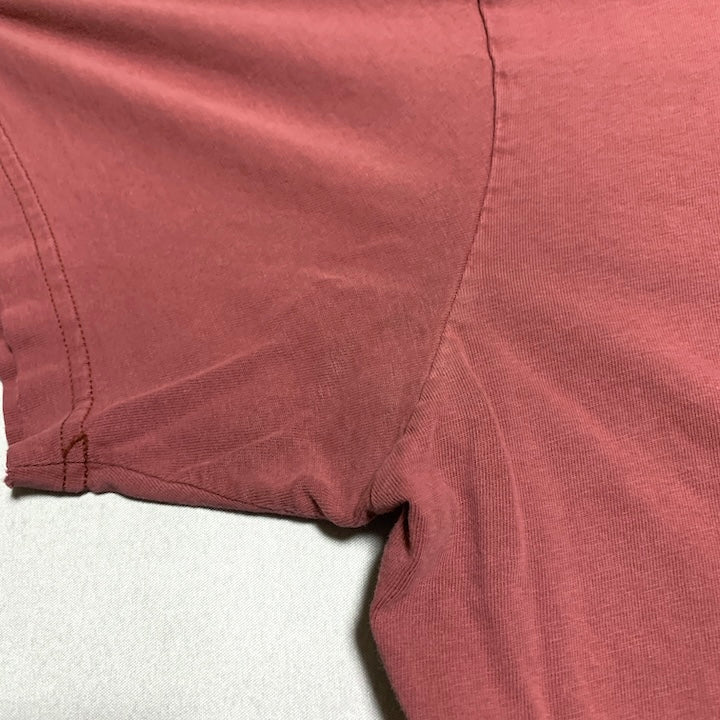 パタゴニア Patagonia Tシャツ メキシコ製 ピンク バックプリント メンズXL