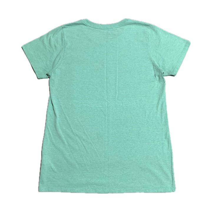 パタゴニア Patagonia Tシャツ メキシコ製 ミントグリーン レディースL