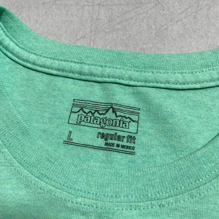 パタゴニア Patagonia Tシャツ メキシコ製 ミントグリーン レディースL