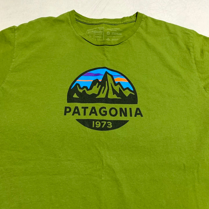 パタゴニア Patagonia Tシャツ メキシコ製 グリーン ロゴプリント メンズL