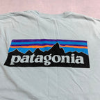 パタゴニア Patagonia Tシャツ メキシコ製 スカイブルー バックプリント メンズM
