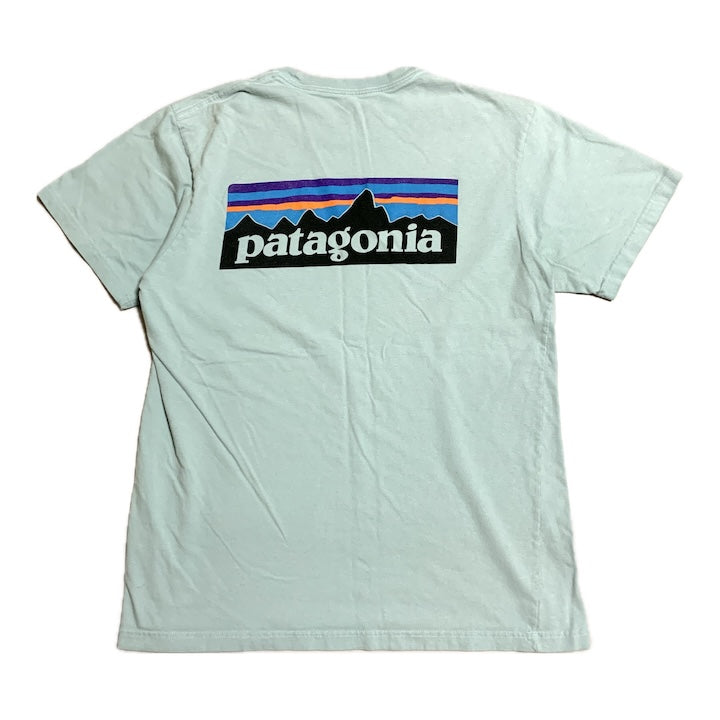 パタゴニア Patagonia Tシャツ メキシコ製 スカイブルー バックプリント メンズM