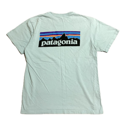 パタゴニア Patagonia Tシャツ メキシコ製 スカイブルー バックプリント メンズM