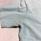 パタゴニア Patagonia Tシャツ メキシコ製 スカイブルー バックプリント メンズM