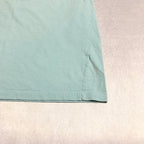 パタゴニア Patagonia Tシャツ メキシコ製 スカイブルー バックプリント メンズM