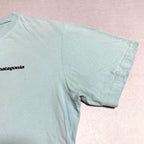 パタゴニア Patagonia Tシャツ メキシコ製 スカイブルー バックプリント メンズM