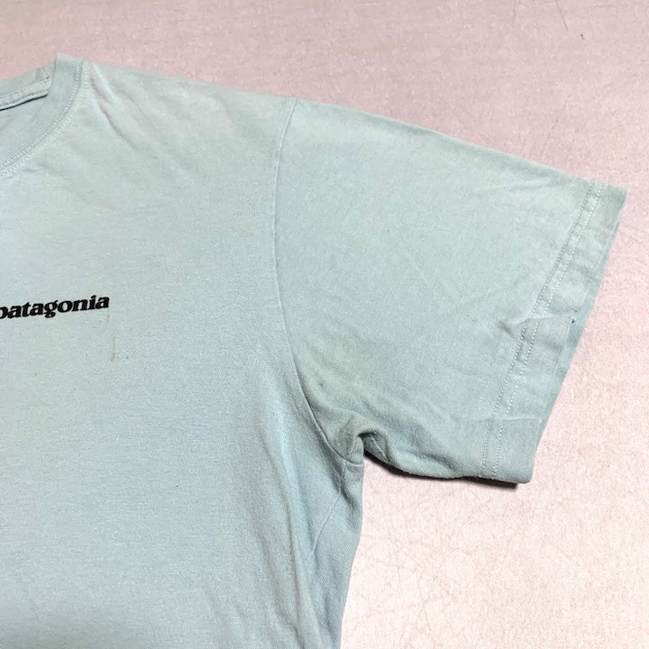 パタゴニア Patagonia Tシャツ メキシコ製 スカイブルー バックプリント メンズM