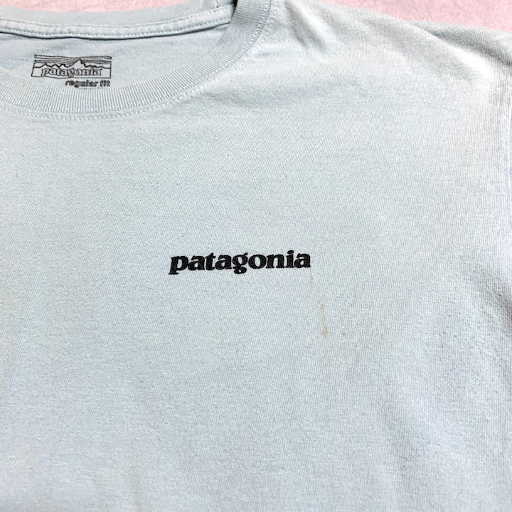 パタゴニア Patagonia Tシャツ メキシコ製 スカイブルー バックプリント メンズM