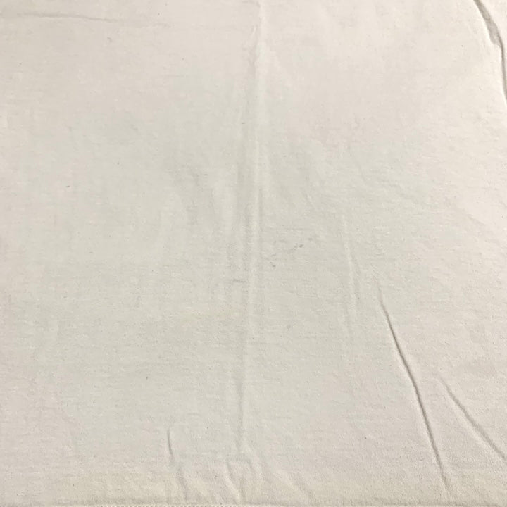 パタゴニア Patagonia Tシャツ メキシコ製 ホワイト バックプリント メンズL