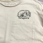 パタゴニア Patagonia Tシャツ メキシコ製 ホワイト バックプリント メンズL