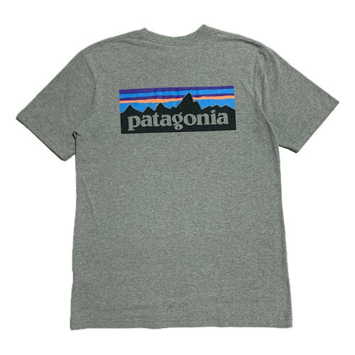 パタゴニア Patagonia Tシャツ メキシコ製 グレー バックプリント メンズS