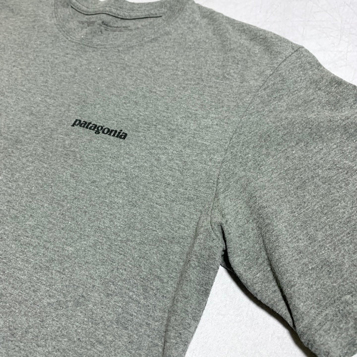 パタゴニア Patagonia Tシャツ メキシコ製 グレー バックプリント メンズS