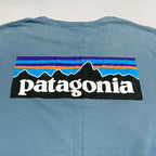 パタゴニア Patagonia Tシャツ ベトナム製 スカイブルー バックプリント メンズL