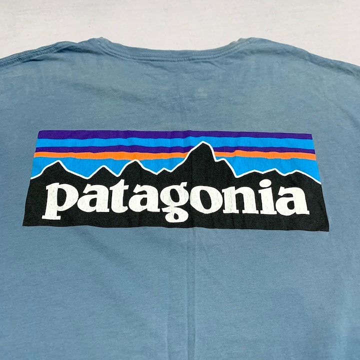 パタゴニア Patagonia Tシャツ ベトナム製 スカイブルー バックプリント メンズL