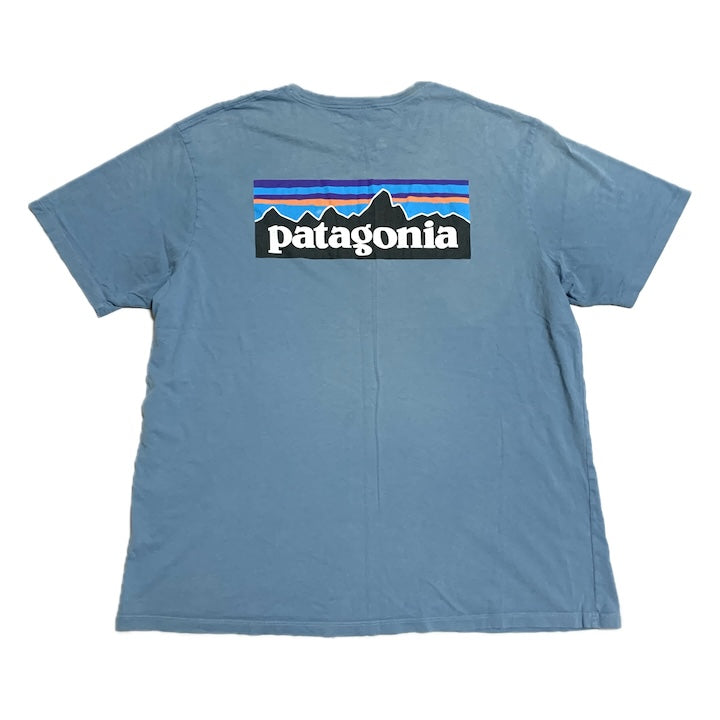 パタゴニア Patagonia Tシャツ ベトナム製 スカイブルー バックプリント メンズL