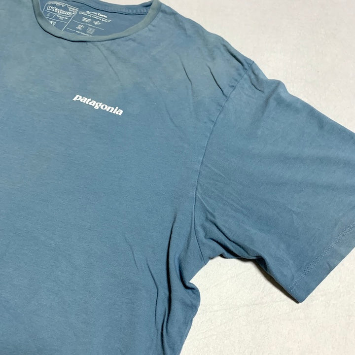 パタゴニア Patagonia Tシャツ ベトナム製 スカイブルー バックプリント メンズL