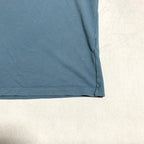パタゴニア Patagonia Tシャツ ベトナム製 スカイブルー バックプリント メンズL