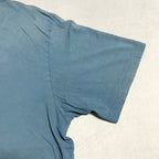 パタゴニア Patagonia Tシャツ ベトナム製 スカイブルー バックプリント メンズL